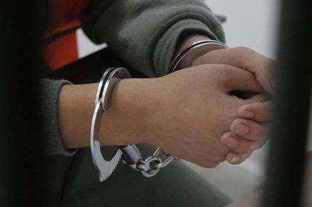 包庇罪量刑标准最新