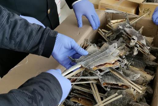 走私稀有珍贵动物