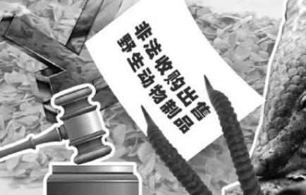非法收购野生动物罪