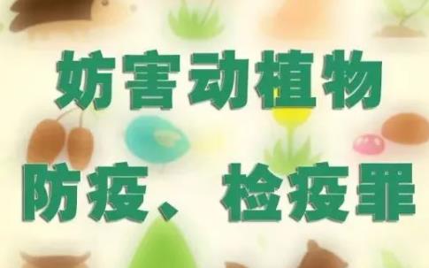 妨害动物防疫罪量刑标准