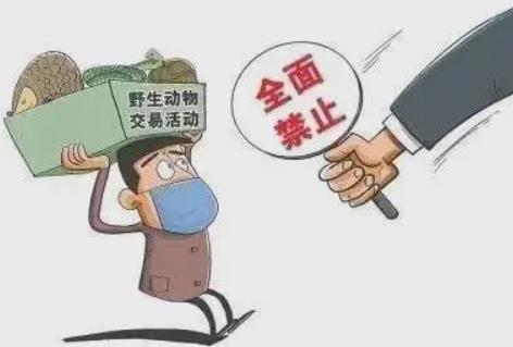 非法出售濒危野生动物罪量刑标准