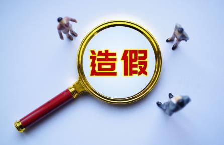 2024年投标弄虚作假怎么处罚?