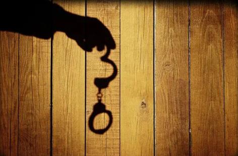 刑法第三十一条的内容、主旨及释义