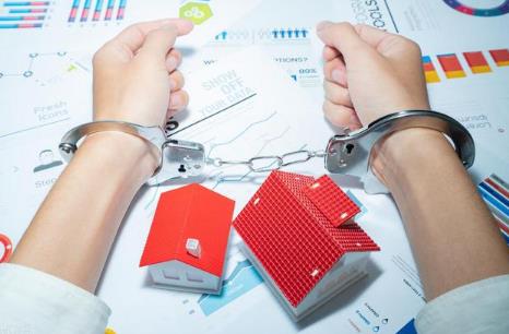 中华人民共和国刑法第二百零一条释义