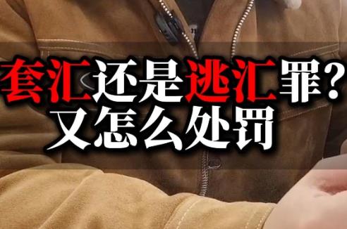 逃汇罪