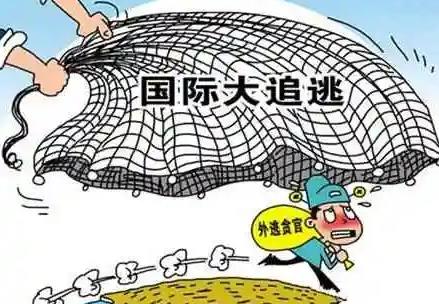 2025年中华人民共和国引渡法释义最新