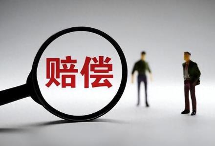 2025年刑事赔偿案件司法解释最新