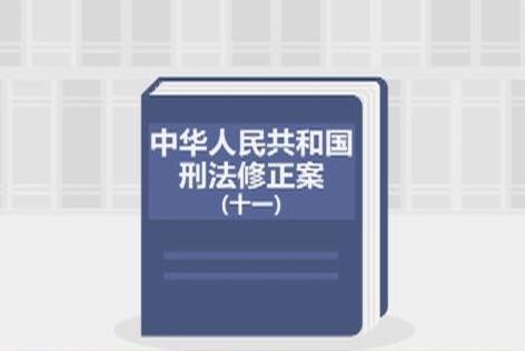 2025年中华人民共和国刑法修正案(十一)